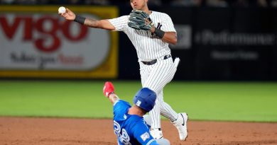 Los Yankees cambiaron a Jorbit Vivas a los Nacionales